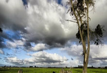 意大利实力毋庸置疑，欧锦赛预选赛取得双杀